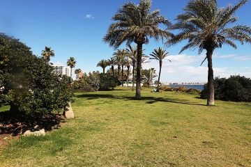 South facing duplex penthouse by the sea - Torrevieja - Mar Azul Properties