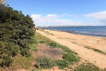 South facing duplex penthouse by the sea - Torrevieja - Mar Azul Properties