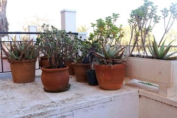 Apartment with south-facing terrace, near the sea in La Veleta, Torrevieja - Mar Azul Properties